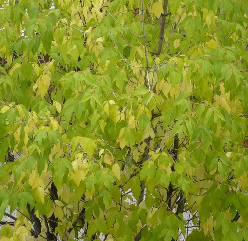 f0214562_742853.jpg