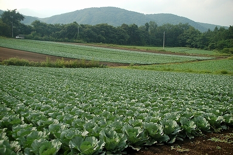 b0145863_14304524.jpg