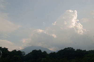 b0145863_1440218.jpg