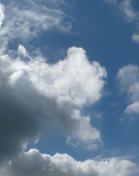 a0063364_22521382.jpg
