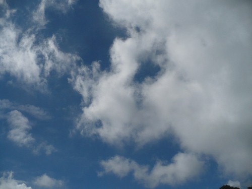a0063364_2253102.jpg