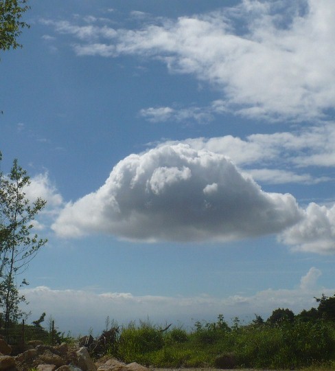 a0063364_22544575.jpg