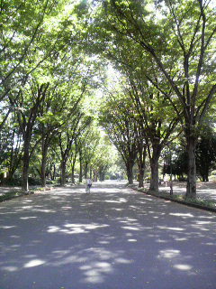 f0233667_1532618.jpg