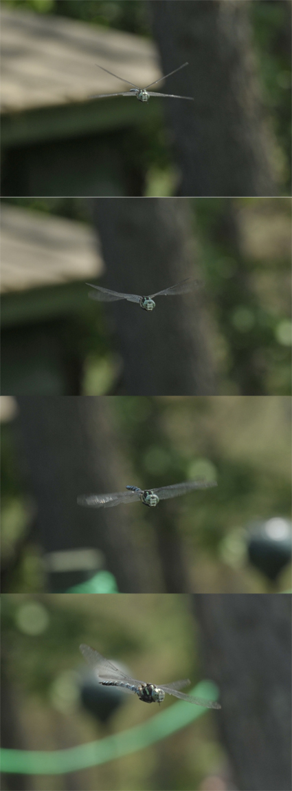 d0180073_23325143.jpg