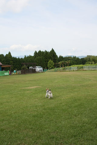c0070377_062026.jpg