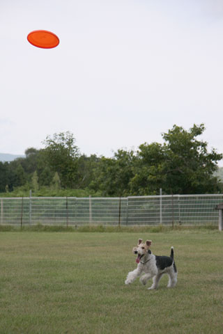 c0070377_064171.jpg