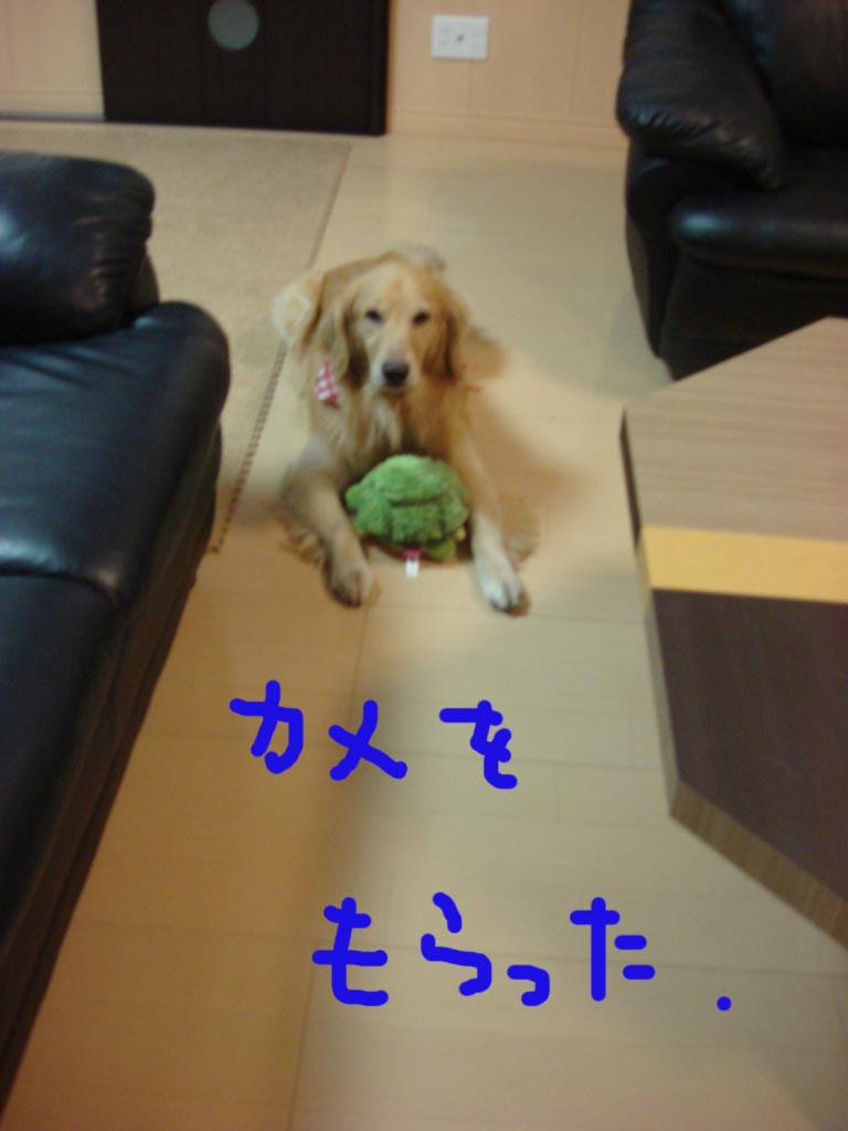 a0040978_17594083.jpg