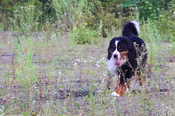 c0149178_14112435.jpg