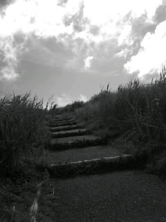 f0100480_2126021.jpg