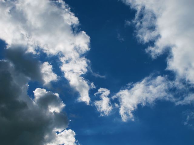 e0132881_0255691.jpg