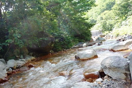 f0139282_16132682.jpg