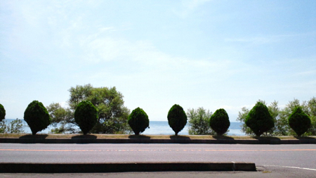 a0079292_14533788.jpg