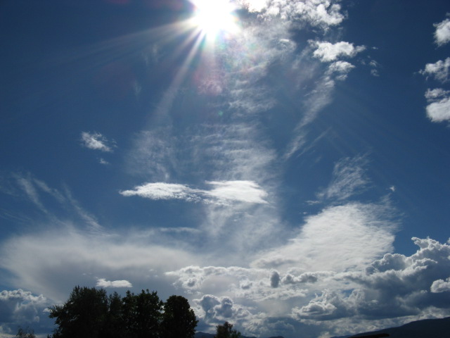 d0132493_182630.jpg