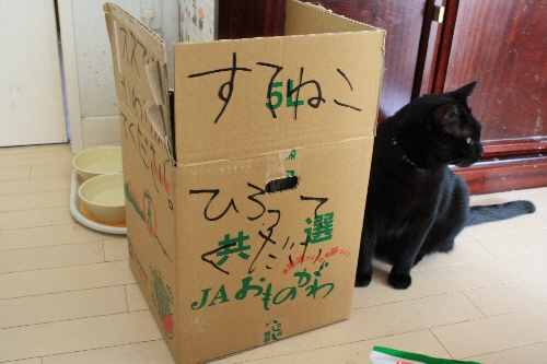 f0081594_841958.jpg