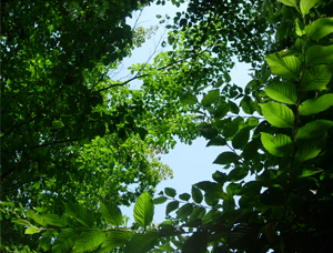 d0129295_19122461.jpg