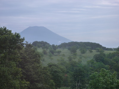 a0127398_148329.jpg