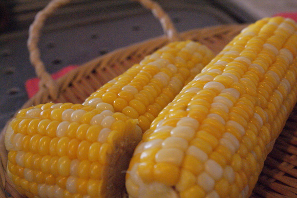 d0164100_727061.jpg