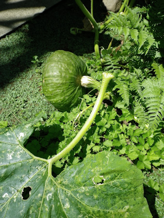 f0239100_17152916.jpg