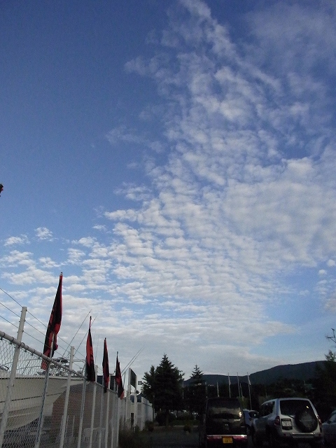 f0157901_21445233.jpg
