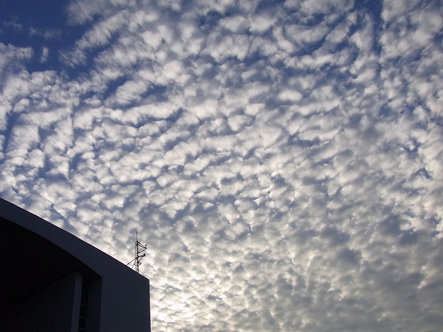 f0157901_2145622.jpg