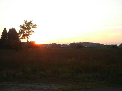 f0082402_2246384.jpg