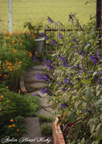 d0001008_1475250.jpg