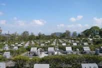 f0221708_21414997.jpg