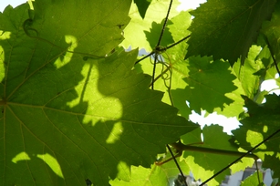 f0221708_21443950.jpg