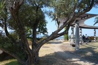 f0221708_2147142.jpg