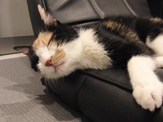 c0201113_22101350.jpg