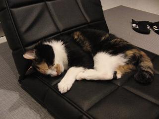 c0201113_22111517.jpg