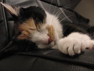 c0201113_22113072.jpg