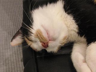 c0201113_2212467.jpg