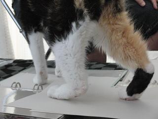 c0201113_2233859.jpg