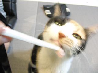 c0201113_228398.jpg