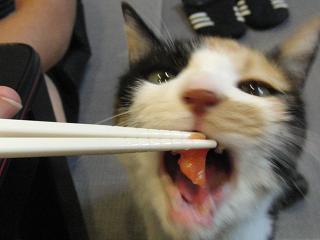 c0201113_228558.jpg