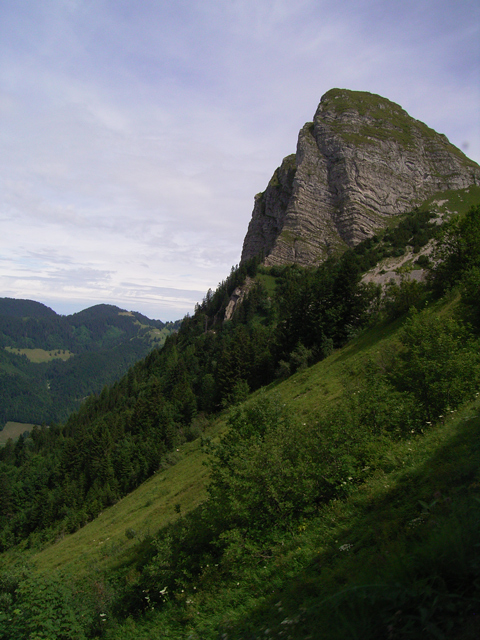 a0030714_7464366.jpg