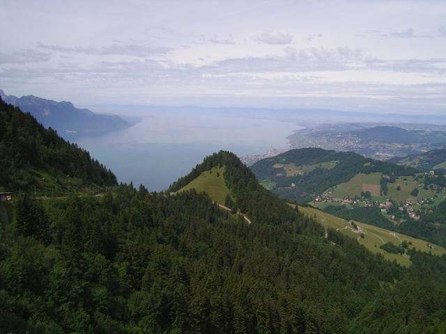a0030714_7465928.jpg