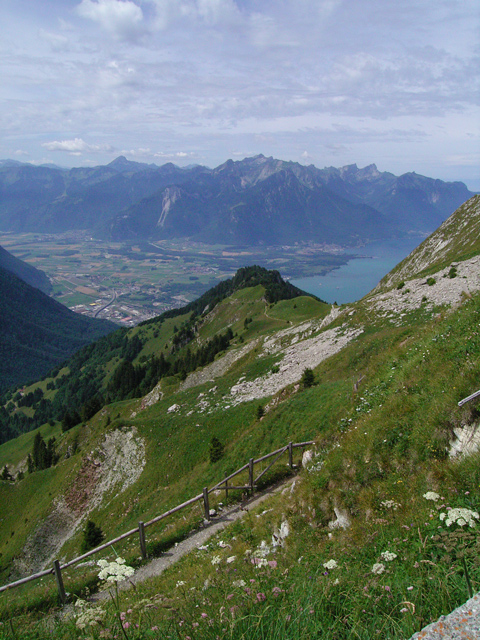 a0030714_7471845.jpg