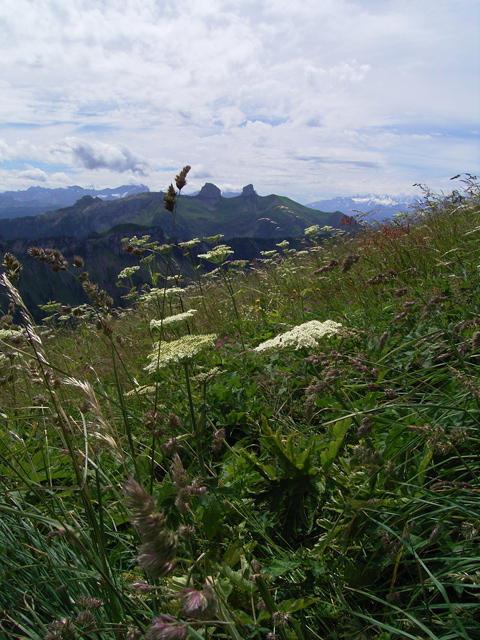a0030714_7475320.jpg