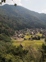 d0068023_1648237.jpg