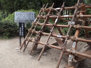 d0068023_1727490.jpg