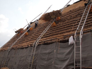 d0068023_17564577.jpg