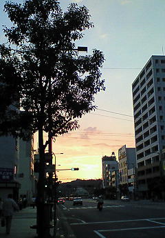 e0195323_1253184.jpg