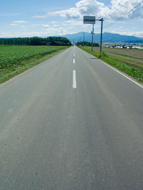 b0085526_2038870.jpg
