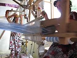 b0197526_1125876.jpg