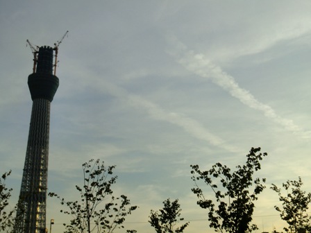 d0130927_13463444.jpg