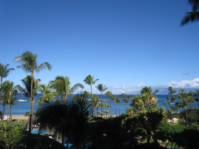 c0159828_11585428.jpg