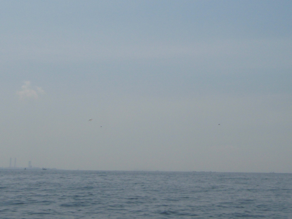 b0173629_16135421.jpg