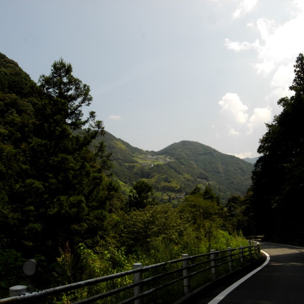 f0003829_1444568.jpg